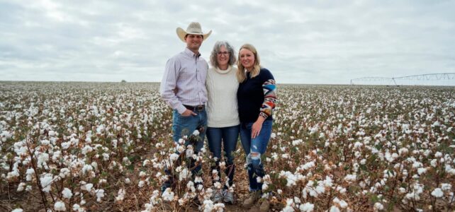 Eco-Friendly Practices: A Deep Dive into Chetna Organic’s Best Cotton Farming Techniques
